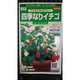 ワイルドストロベリー 四季なり イチゴ 種 種子 herb サカタのタネ