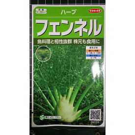 フェンネル ウィキョウ ハーブ 種 種子 herb サカタのタネ