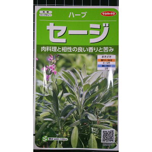 �Z�[�W �T���r�A Sage salvia �n�[�u �� ��q herb �T�J�^�̃^�l