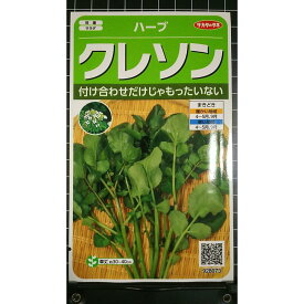 クレソン オランダ カラシ watercressl ハーブ 種 種子 herb サカタのタネ