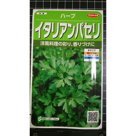 イタリアン パセリ Italian parsley ハーブ 種 種子 herb サカタのタネ