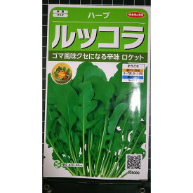 ルッコラ ロケット ゴマ 風味 ハーブ 種 種子 herb サカタのタネ