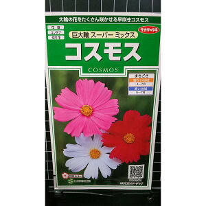 RXX  X[p[ ~bNX H  q TJ^̃^l