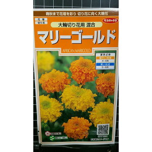 }[S[h  ؂ ܂񂶂ガ e  q TJ^̃^l X TJ^   sakata TJ^c seed