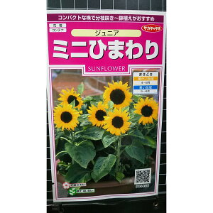 �~�j �Ђ܂�� �W���j�A ������ �� ��q �T�J�^�̃^�l