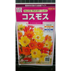 RXX LpXuCg ~bNX H  q TJ^̃^l