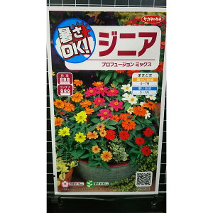 WjA vt[W ~bNX S qNj`\E  q TJ^̃^l