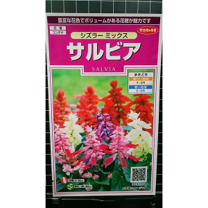 TrA VY[ ~bNX  q TJ^̃^l