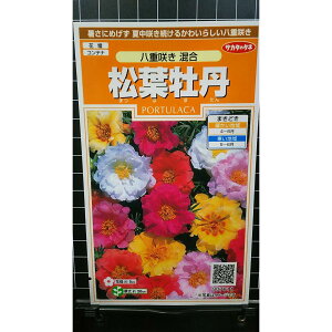 tO d炫 ܂΂ڂ  q TJ^̃^l