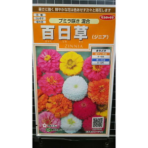 �S���� �v�~���炫 �W�j�A �q���N�j�`�\�E �� ��q �T�J�^�̃^�l