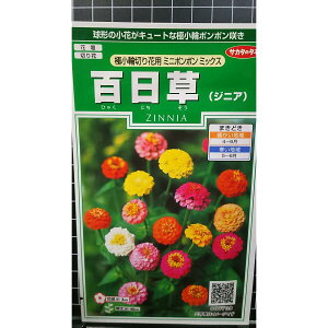 �S���� �ɏ��� �~�j �|���|�� �W�j�A �q���N�j�`�\�E �� ��q �T�J�^�̃^�l