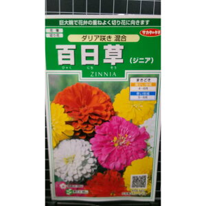 S _A炫 WjA qNj`\E  q TJ^̃^l