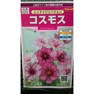 RXX bhC[W H  q TJ^̃^l