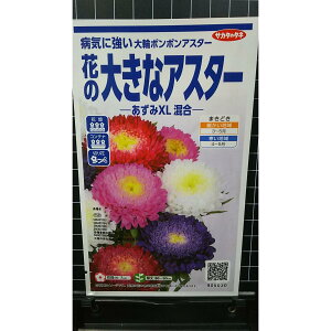 Ԃ̑傫 AX^[ XL ||   q TJ^̃^l