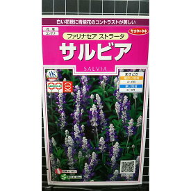 サルビア ファリナセア ストラータ 種 種子 サカタのタネ