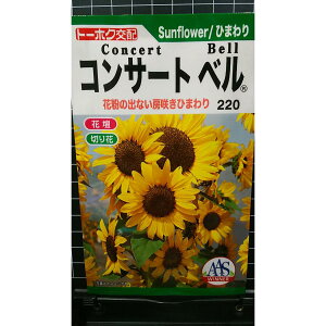 RT[gx [ Ђ܂   q g[zN