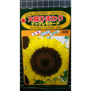  Ђ܂ rbO l[h   q g[zN