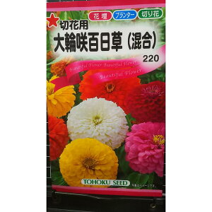 ֍ S ؉ԗp  WjA  q g[zN