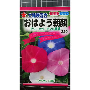 ֌n ͂悤   O[J[e   q g[zN