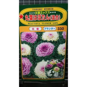 ۗt ͂ڂ  ۃ~bNX tO  q g[zN