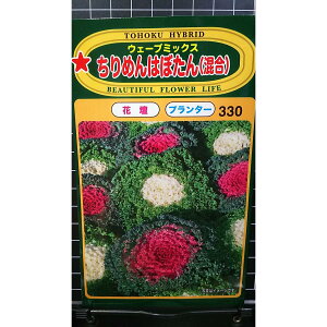 ߂ ͂ڂ  EF[u~bNX k tO  q g[zN