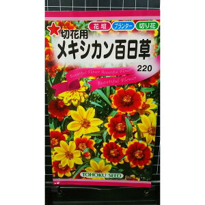 LVJ S ؉ԗp WjA  q g[zN