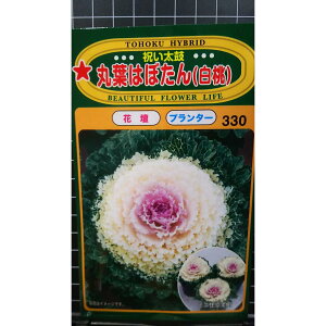 ۗt ͂ڂ  j tO  q g[zN