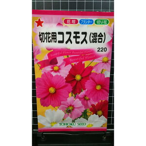 ؉ԗp RXX  H  q g[zN