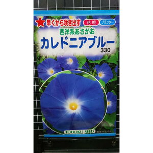 mn  JhjA u[   q g[zN