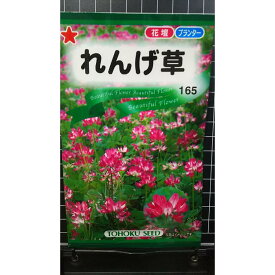 れんげ レンゲ 種 種子 トーホク