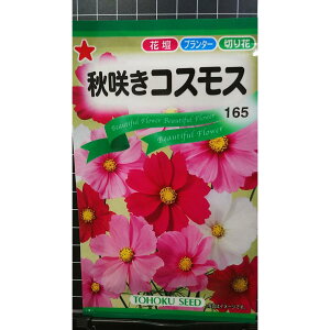 H炫 RXX H  q g[zN