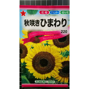 H炫 Ђ܂   q g[zN
