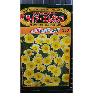 CA GKX JtHjA f[W[  q g[zN