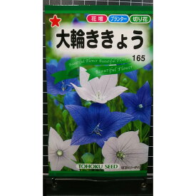 大輪 ききょう 桔梗 種 種子 トーホク