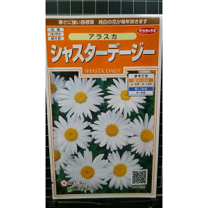 VX^[f[W[ AXJ fCW[  q TJ^̃^l