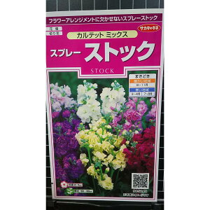 Xv[ XgbN Jebg  q TJ^̃^l