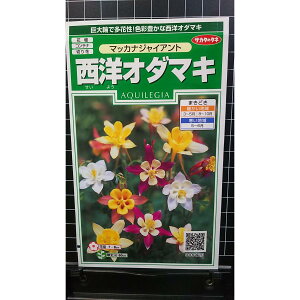 m I_}L }cJi WCAg ܂  q TJ^̃^l