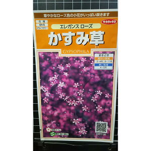 ݑ GKX [Y JX~\E  q TJ^̃^l