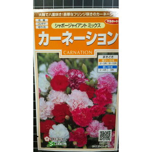 J[l[V V{[WCAg  q TJ^̃^l