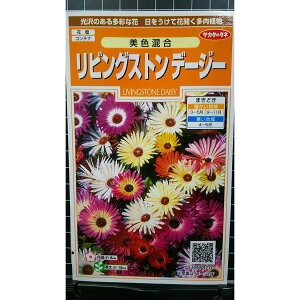 rOXg f[W[  q TJ^̃^l