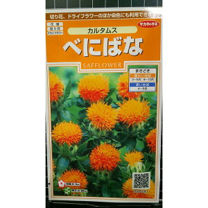 g J^X ׂɂ΂  q TJ^̃^l