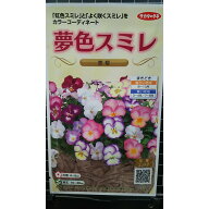 夢色 スミレ 恋桜 パンジー 種 種子 サカタのタネ