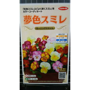 F X~ [jO pW[  q TJ^̃^l