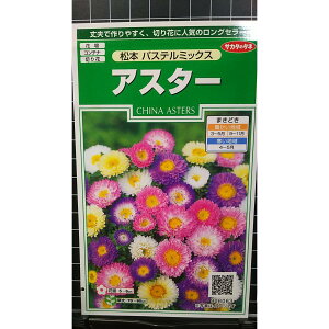 AX^[ { pXe ~bNX  q TJ^̃^l