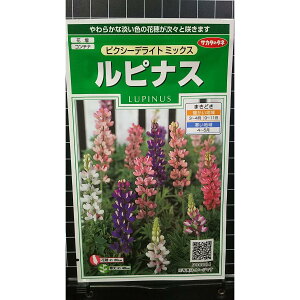 ���s�i�X �s�N�V�[�f���C�g �� ��q �T�J�^�̃^�l