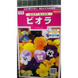 ビオラ ピエナ ミックス 種 種子 サカタのタネ