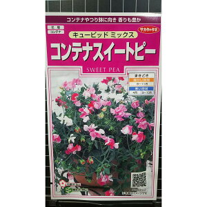 Rei XC[gs[ L[sbg XB[gs[  q TJ^̃^l
