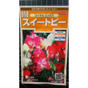 XC[gs[ C XB[gs[  q TJ^̃^l