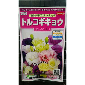 gRMLE d炫  gR LLE j[  q TJ^̃^l