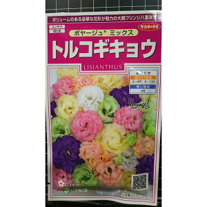 gRMLE {[W gR LLE j[  q TJ^̃^l